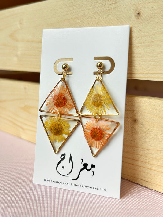 Sunset Aster Triangle Drops