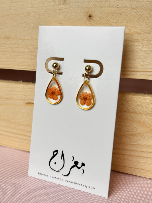 Citrus Blossom Drops