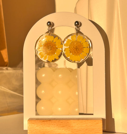 Yellow Daisy - Ball Studs